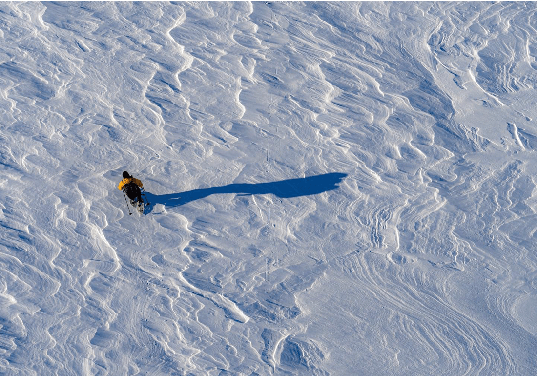 Birdwatching. Visit Varanger Arctic Norway (c) Photo: Biotope