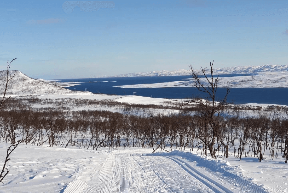 Birdwatching. Visit Varanger Arctic Norway (c) Photo: Biotope